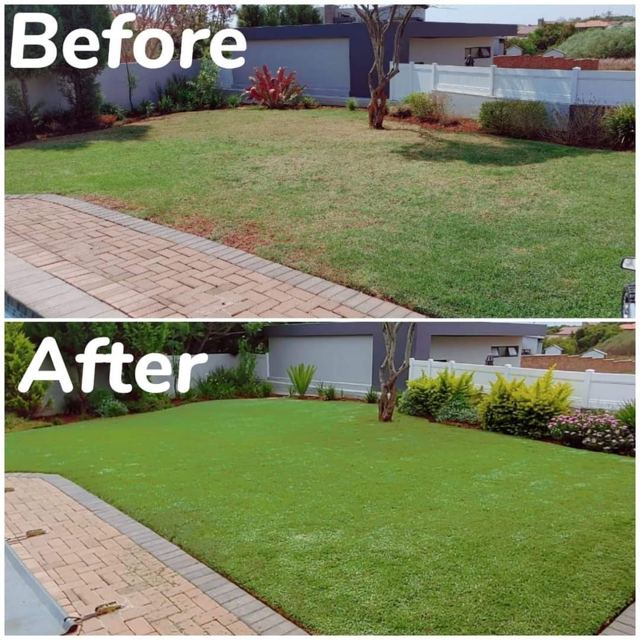 Garden lawn before and after treatment