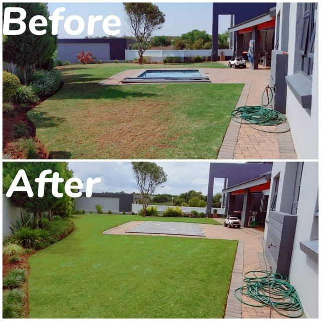Pool-side lawn before and after treatment