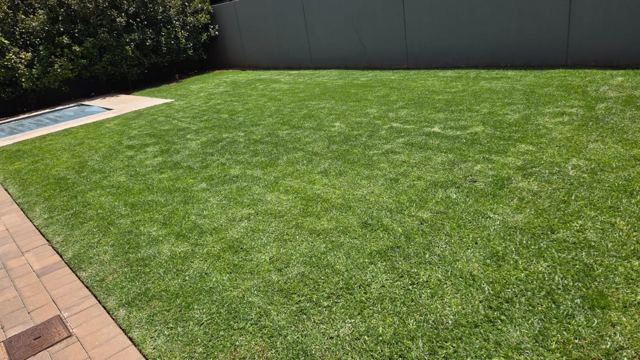 Lawn next to paving