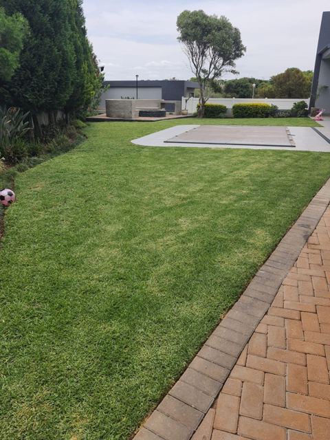 Lawn along a boundary wall